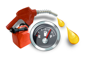Understanding fuel policy